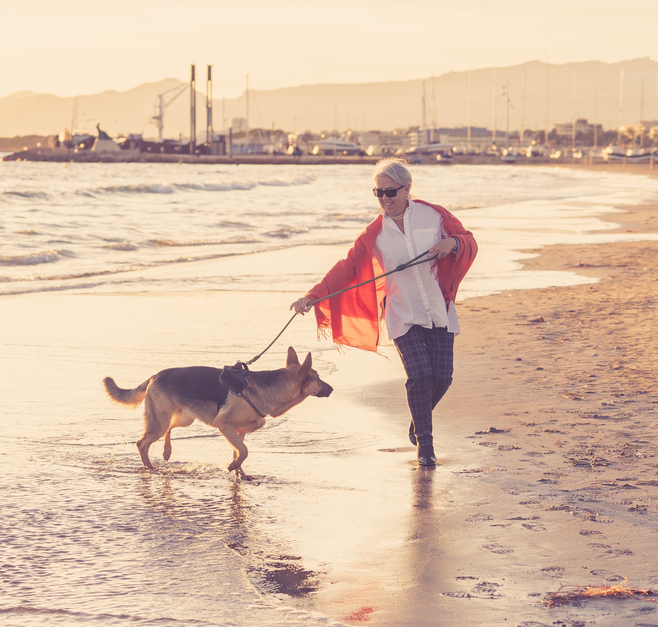 ד"ר גלית גיחון